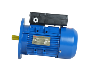 ELECTRO MOTOR ML802-4